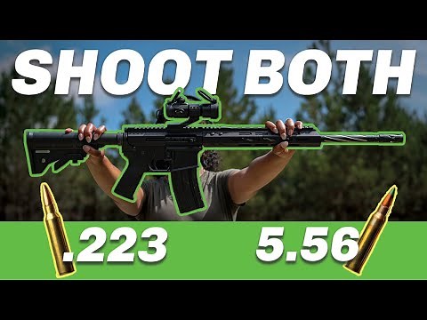 What Is 223 Wylde? (Is It Worth It?)