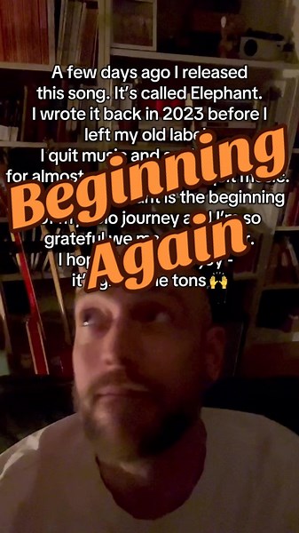 Elephant [released] #songwritersoftiktok #indiepop #indiemusic #newmusic