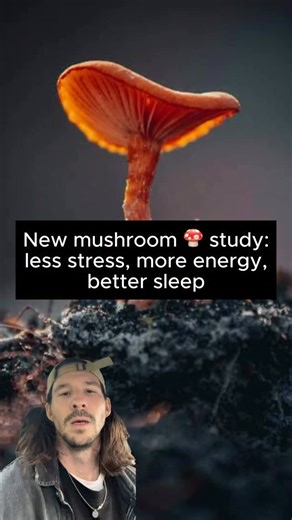 Mushies on Instagram: "After 12 weeks, the mushroom group had the following measurable changes: Anxiety dropped significantly. Hamilton Anxiety scores fell by 33.5% in the mushroom group vs. 13.1% in placebo. State anxiety (those moment-to-moment stress spikes) decreased by 8.7% vs. 4.9%. These differences showed up by week 6 and held. Depression scores improved. While the placebo group’s depression scores actually increased by 4.1%, the mushroom group saw a 16.8% reduction. That’s a meaningful 