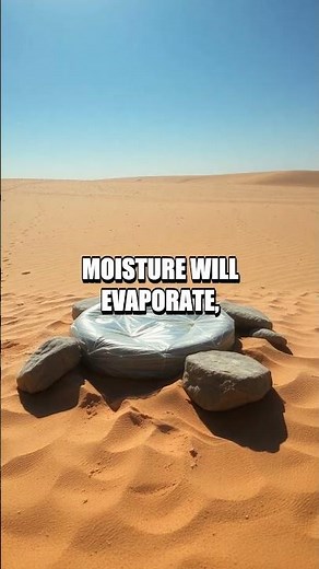 Mastering the Solar Still