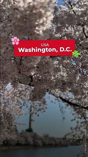 🌸 5 Beautiful Spring Destinations ✨