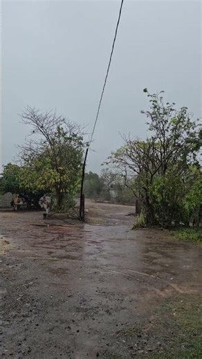 chulada 🌧 #sinaloa