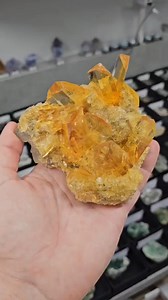 17K views · 1.7K reactions | GYPSUM CRYSTALS  | Saltshack | Facebook