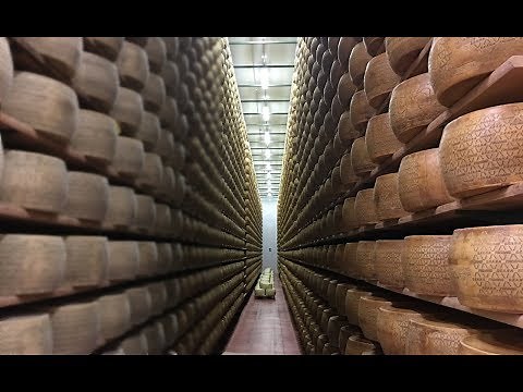 How Italian Cheese is Made?🧀🇮🇹 Inside a Cheese Factory