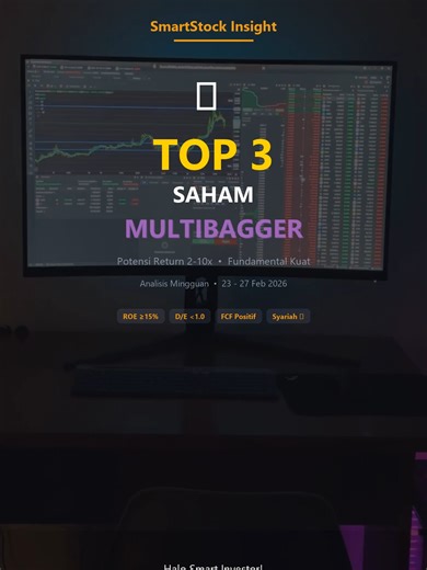 Multibagger Stocks Analysis for Beginners