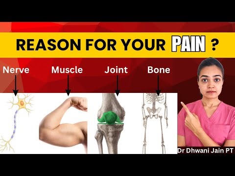 Muscle, Nerve, Joint ya Bone Pain? | How to find the difference? | Dr Dhwani Jain