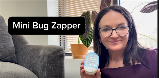 Watch Indoor Electronic Bug Zapper on Amazon Live