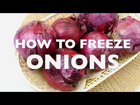 FREEZING ONIONS || HOW TO FREEZE ONIONS