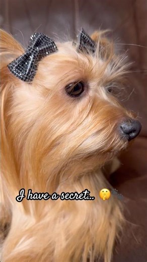 Only you can know 🤫✨