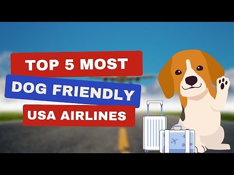 Top 5 Most Dog Friendly Airlines In the USA