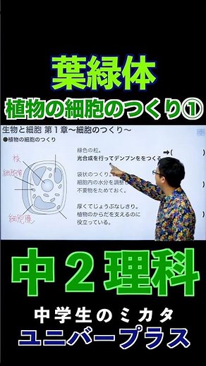 植物の細胞のつくり①葉緑体#葉緑体 #光合成 #中２理科 #定期テスト対策 |#中学理科 #植物 #細胞のつくり