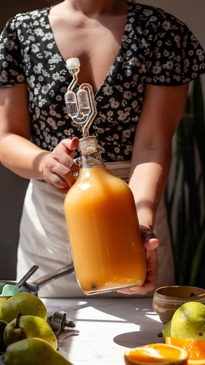 Kaitlynn Fenley on Instagram: "My homebrewed pear hard cider recipe teaches you how to make cider from just pear juice, sugar, yeast (and a few spices for fun)—It’s also called “Perry” but I feel like more people know it as pear cider. 🫧🍐✨ If you grow pears at home, you can make delicious pear cider from fresh-pressed juice! If you don’t have homegrown pears, no worries! You can use natural pear juice from the store (with no additives). I absolutely love the photography and videography Jon cap