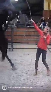 40K views · 1.1K reactions | Finally Nieuwe Open Problem Solving...