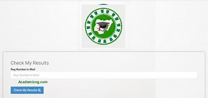 2025 JAMB Result Checker Using Your Registration Number - Academicful