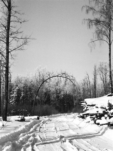 Minsk Street Photographer | Разное оставшееся с плёнки. 📸Minolta XG-7 🎞️Silberra Ultima 160 📍Минский р-н #StreetPhotography #filmPhotography #Minolta... | Instagram