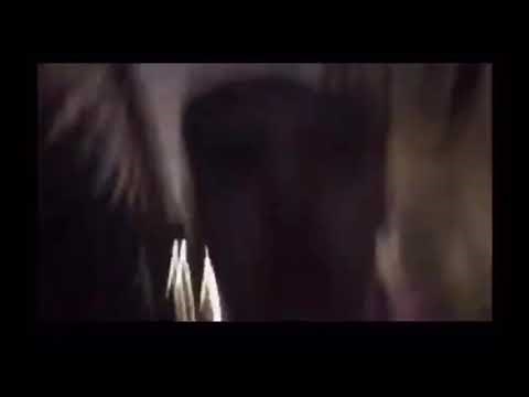 its me falling down the stairs