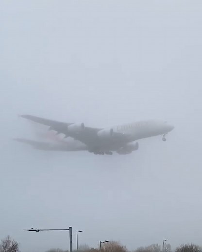 5.1M views · 43K reactions | The plane appeared out of nowhere  | LADbible | Facebook