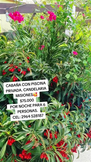 Cabaña con Piscina Privada en Misiones - Verano 2026