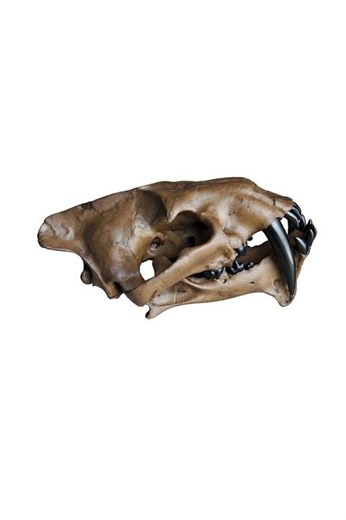 Paintable Saber-toothed Cat replicas - Perfect for kids and adults alike!