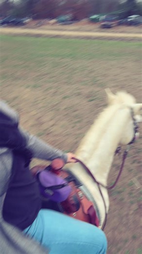 Willow time! #riding #horses #jesuslovesyou #blowthisup