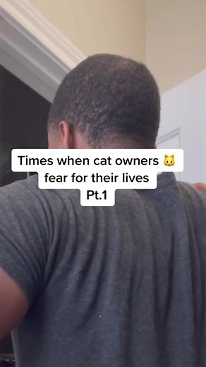 Welcome to Jurrassic Park! 😂