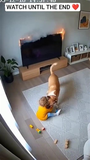 Animals Saving Kids | Part 1 🐾❤️ #animals #shorts