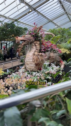 Time Out London | @kewgardens's annual orchid festival is back for its 30th edition, and this year, the dazzling celebration of all things orchid turns its... | Instagram