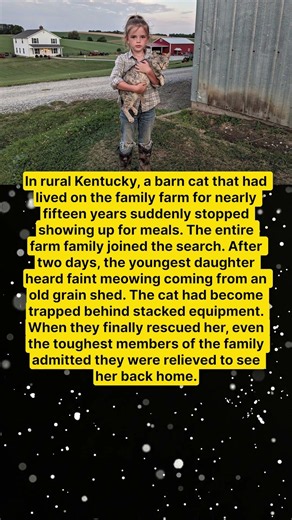 THE FARM FAMILY WHO SAVED THE BARN CAT 🐈❤️