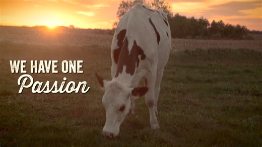 4.6K views · 74 reactions | Did you know, Bongards Premium Cheese is made using fresh milk from over 250 Minnesota dairy farms? Up to 5.5 million pounds of milk are processed into cheese per day, typically within 12 hours of receipt at our Perham, MN plant. From there, it is sent to our plants in Norwood, MN and Humboldt, TN to be made into your favorite Bongards® Cheeses! #BongardsCheese #FarmToKitchen | Bongards Premium Cheese - Bongards, MN | Facebook