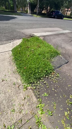 Satisfying Garden and Lawn Care in Sydney