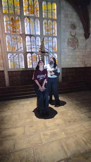 Change Your Harry Potter House: Gryffindor to Hufflepuff