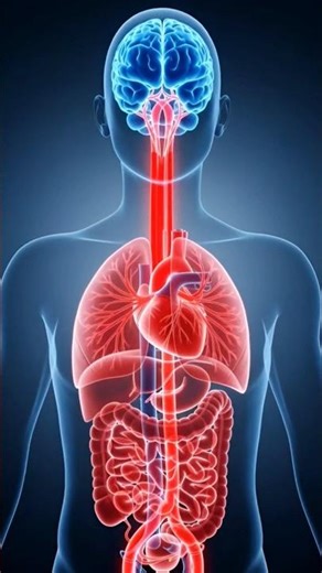 What Happens in Your Body During the Dying Process