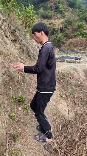 Everyone is shaking off their burdens, creator support program, Ip Man is here, hahaha