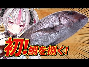 [Cooking] I made restaurant-quality food after filleting a red sea bream for the first time [Momo...