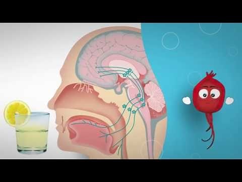 Le voyage du message sensoriel