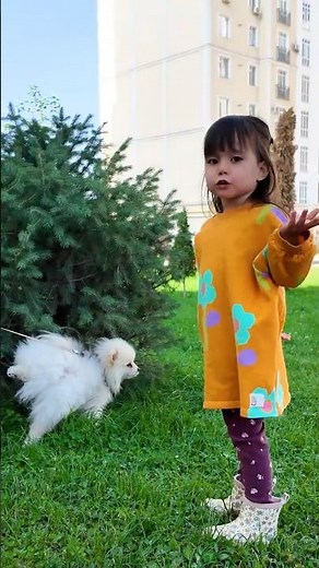 Fun Facts About Dogs For Kids 🐶