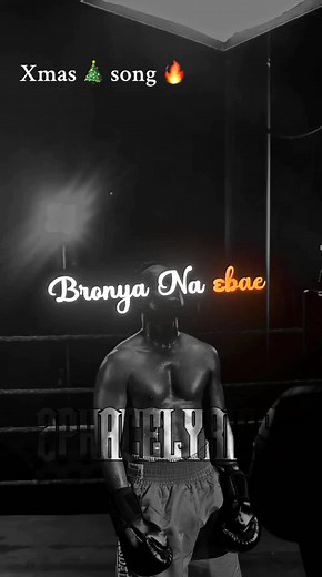 Catchy Christmas Song Lyrics for Your Holidays