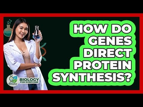 How Do Genes Direct Protein Synthesis? - Biology For Everyone