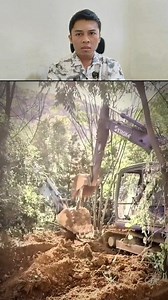 Strongest tree in the world | TheGamma