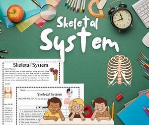 Skeletal System