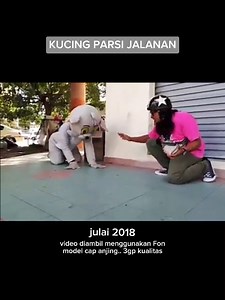 Saya pernah menyelamatkan kucing PARSI besar di sekitar bandar pada tahun 2018 dahulu.. hidup ke tak lagi kucing tu skrg... Emm tapi kalo aku ada duit, mmg aku beli 3 ekor kucing PARSI kat sini - https://s.shopee.com.my/Vm9Z3cz8z | Bonraizu Production
