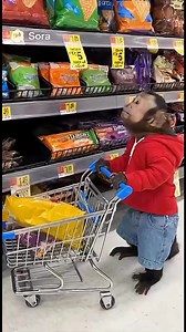 When a Monkey Does the Grocery Shopping 😂🐒 #shorts #fypシ #viralvideo #viralshort | Life’s Beauty