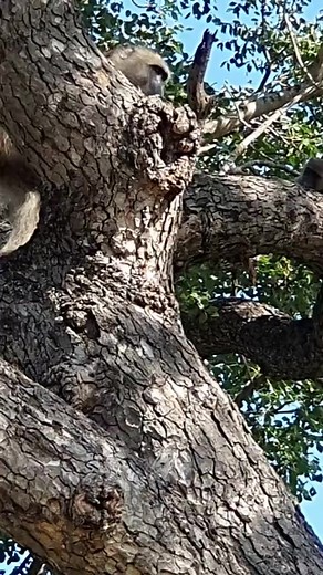 TikTok South Africa on TikTok