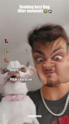 Ranking the Best Dog Filter Moments 😂🐕 #shorts, #dogs, #funnydogs, #dogfilters, #cuteanimals
