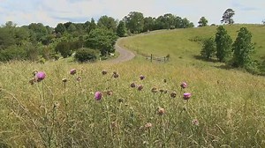 Verizon cell tower in limbo after Madison County board takes no action