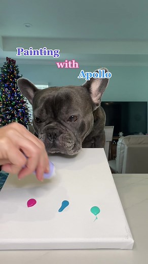 Apollo’s 1st painting. Should we do more? #artist #artwork