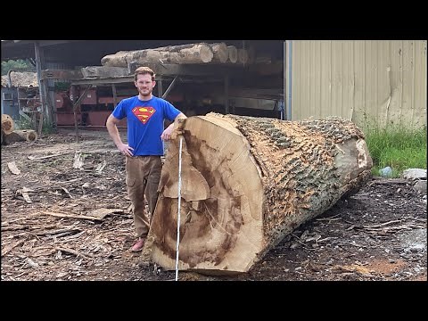 Sawing the Biggest Log I Can!! What Can the Mill Handle? 2/3