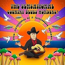 The Sensational Country Blues Wonders! - The Adventures Of A Psychedelic Cowboy