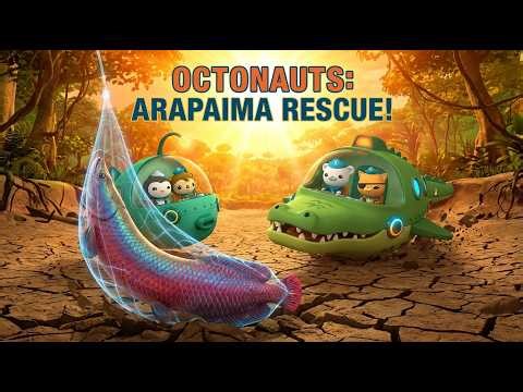 🌊 Octonauts Amazon Adventure: The Great Arapaima Rescue! 🐟