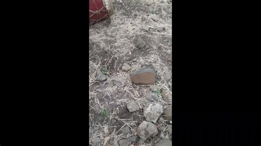 Yosef Kassaye (@yosef.kassaye)’s videos with original sound - Henok